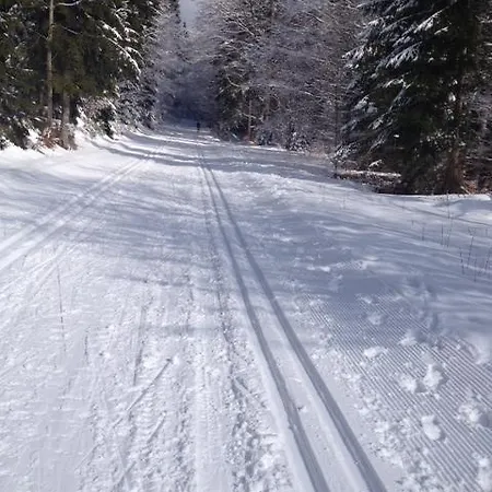 호텔 Relax Bara 3*